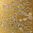 Sticker Nr.5820 Gold diverse Fische Karpfen Barsch