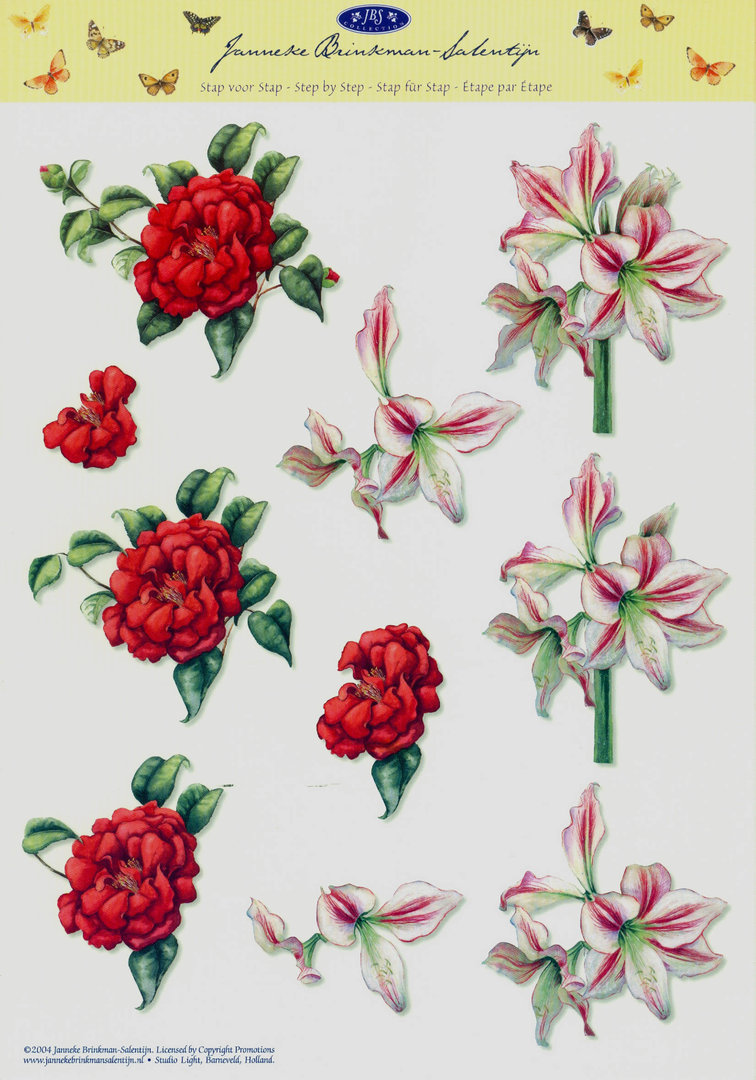 3D Schneidebogen A4 Nr.003 JBS Blüten Rose Lilie