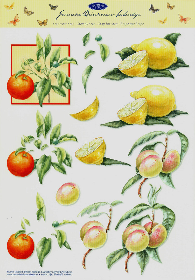 3D Schneidebogen A4 Nr.007 JBS Füchte Zitrone Apfelsine
