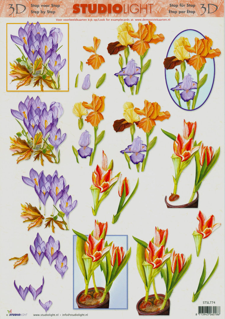 3D Schneidebogen A4 Nr.774 studiolight Frühlingsblumen Krokus Iris