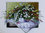3D Pyramid Stanzbögen & Karten Nr.039 Set.16 Blumenstauss Blumen