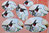 3D Pyramid Stanzbögen & Karten Nr.063 Set.36 Kolibri Ente